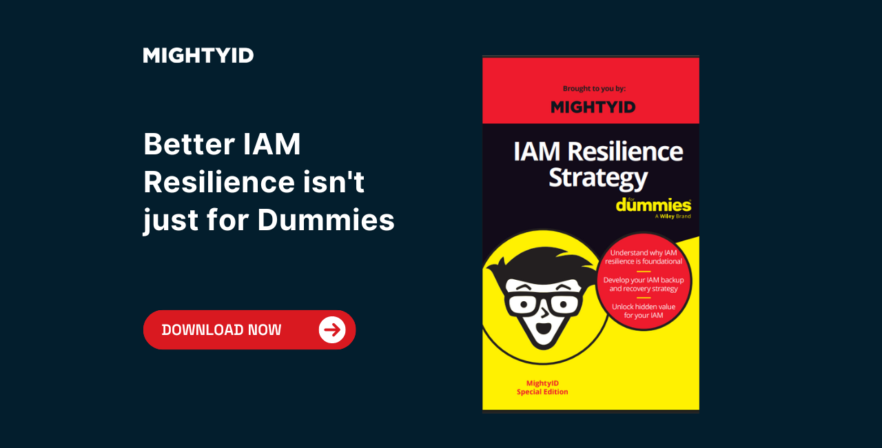 IAM Resilience Strategy for Dummies